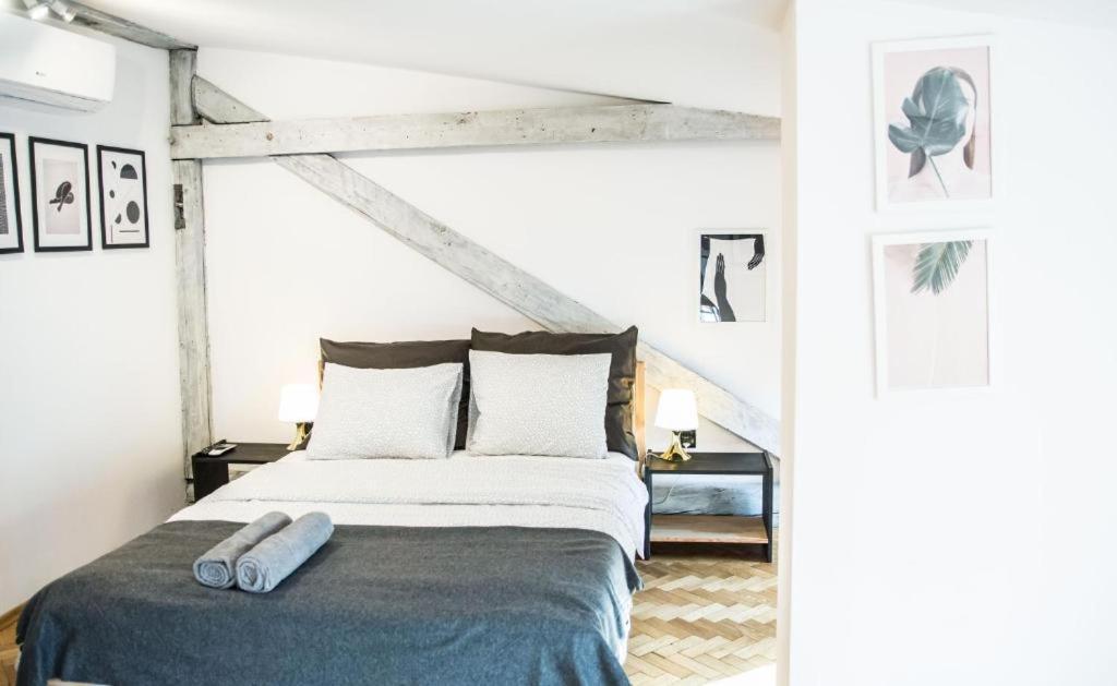 Lion Apartments - Silver Krakow Ngoại thất bức ảnh
