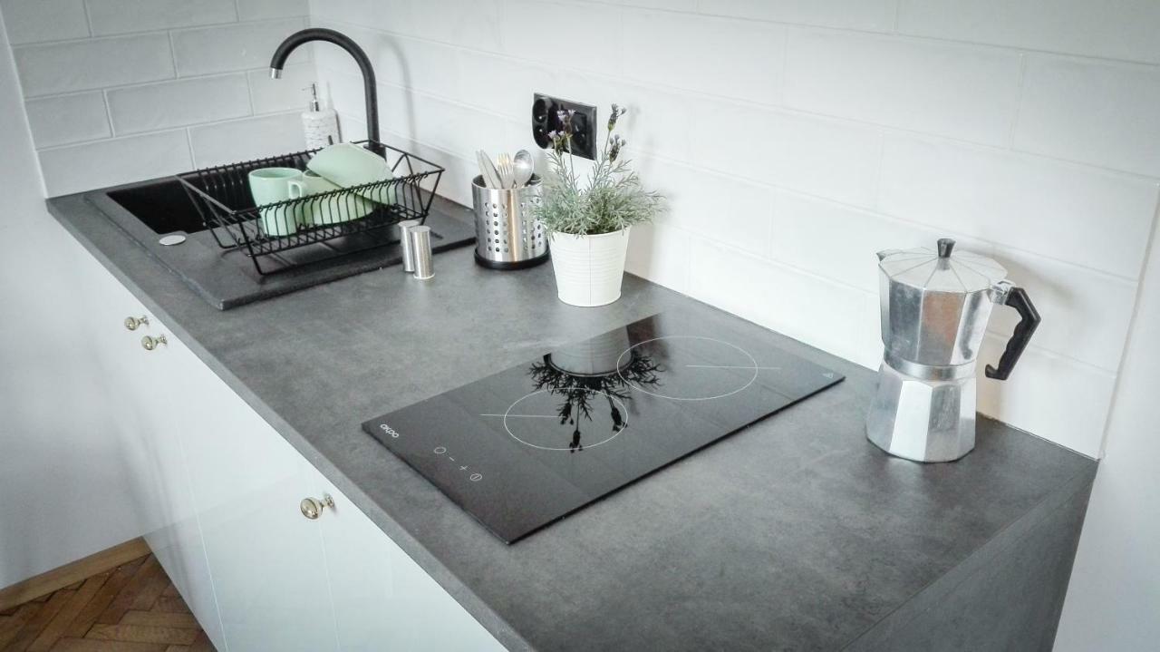 Lion Apartments - Silver Krakow Ngoại thất bức ảnh